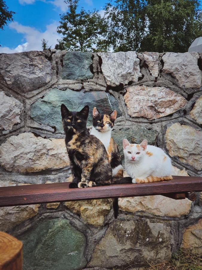 Apartmani Stari Gaj Žabljak Exteriér fotografie